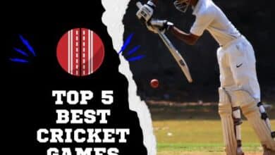 Top 5 Best Cricket Games