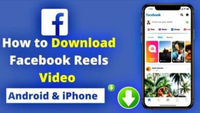 Facebook Reels Video Download